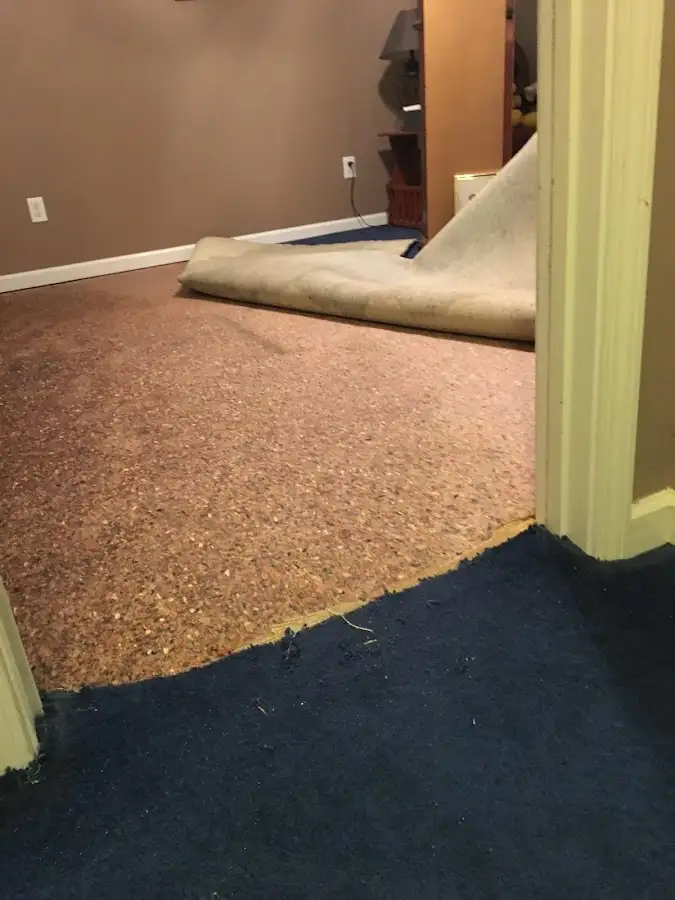 Carpet pad removal revealing water damage during Drying & Dehumidification in Elko New Market
