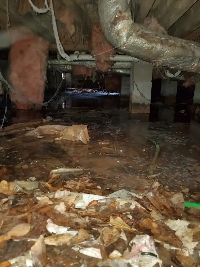 Crawl space flood assessment for Leak Detection & Repair in Elko New Market